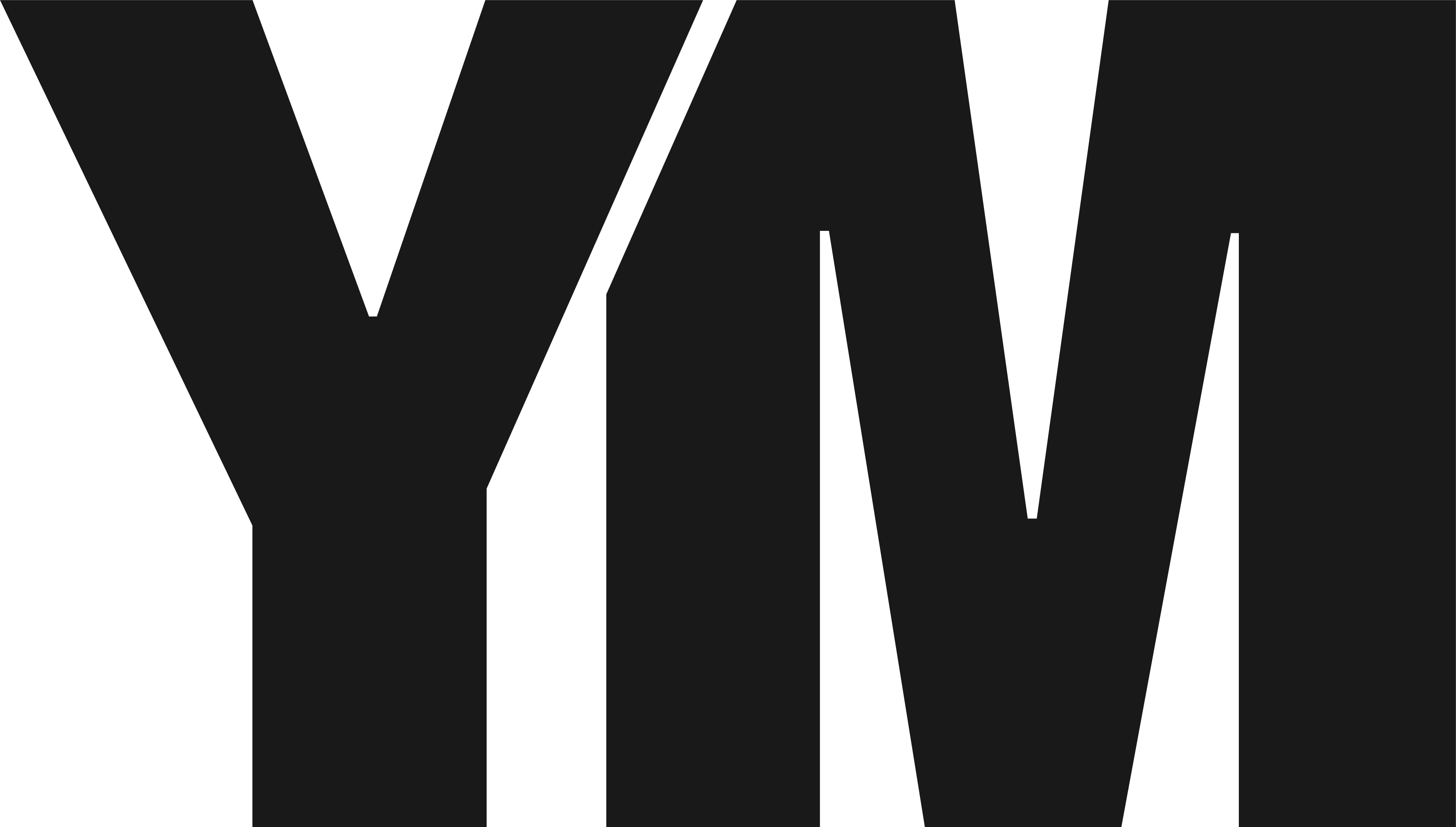 Young Minds Trust logo