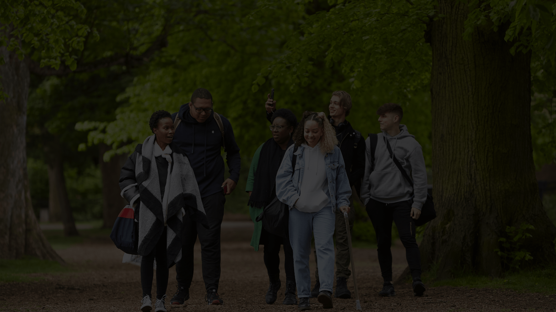 A group of six young people talking and smiling together while walking through the woods.