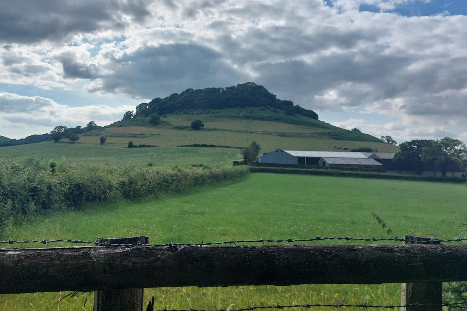 A view of grassy hills on Tony's trail.