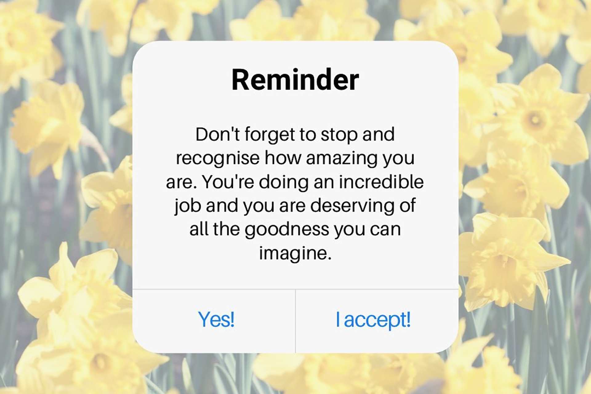 A picture of yellow flowers is slightly blurred as the image background, and is layered with a white box containing black text that reads: reminder. don't forget to stop and recognise how amazing you are. you're doing an incredible job and you are deserving of all the goodness you can imagine.