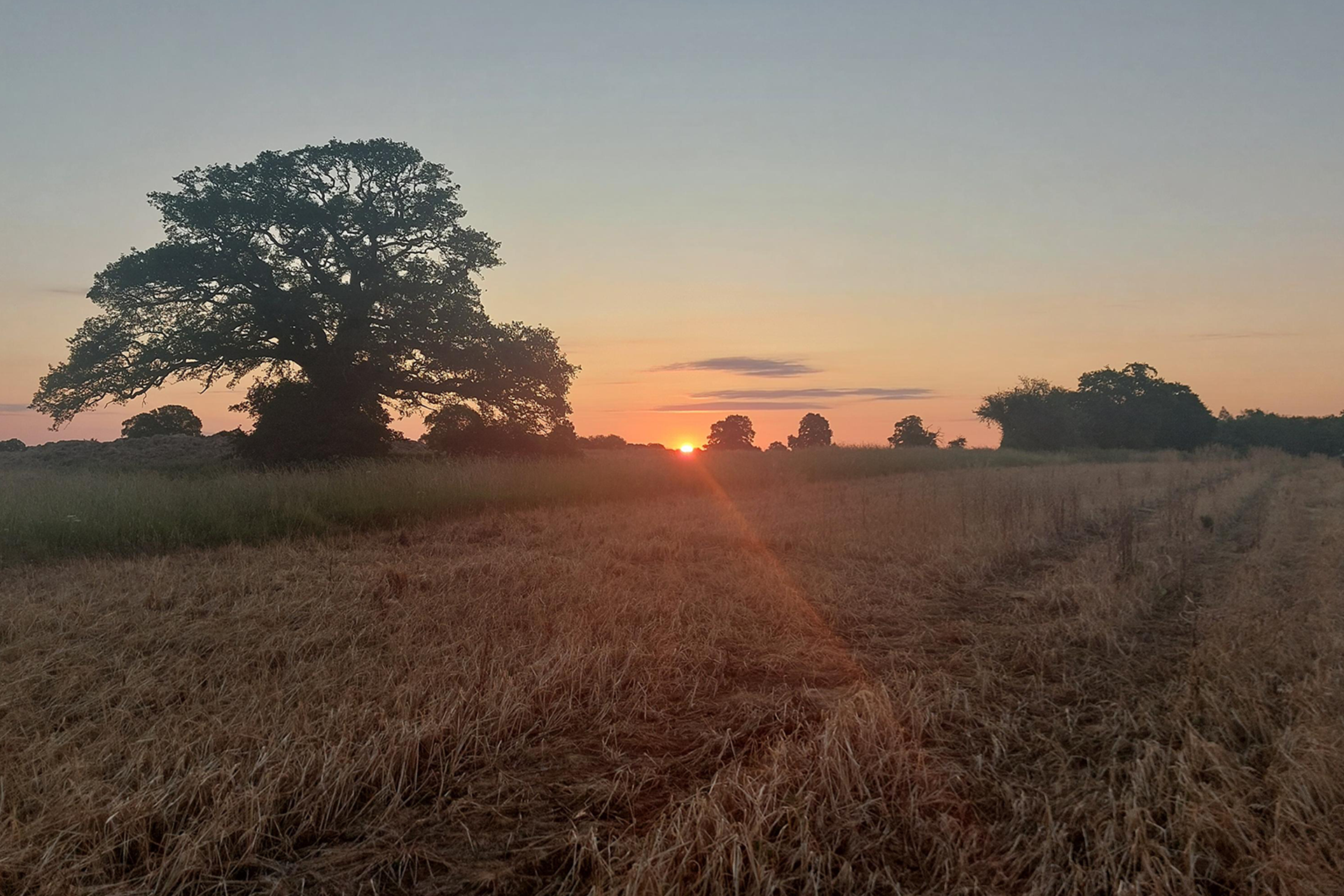 A view of the sunset on Tony's trail.