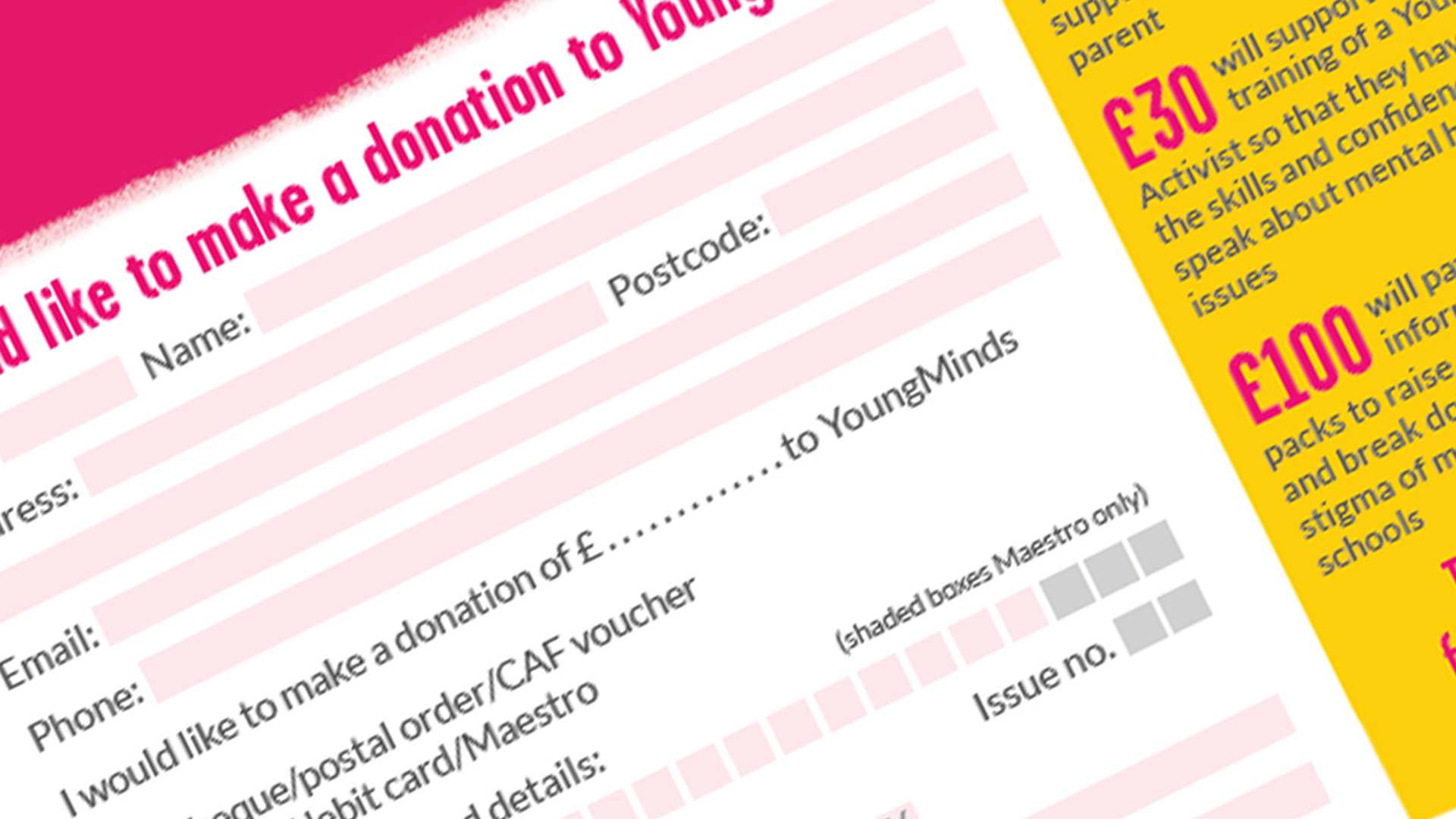 Cut out screenshot of our donation form. The cut out zooms in on the personal details section of the form.